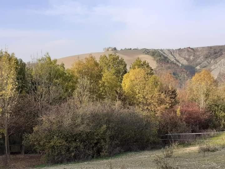 Ai Boschi Διαμέρισμα Ozzano dell'Emilia Εξωτερικό φωτογραφία
