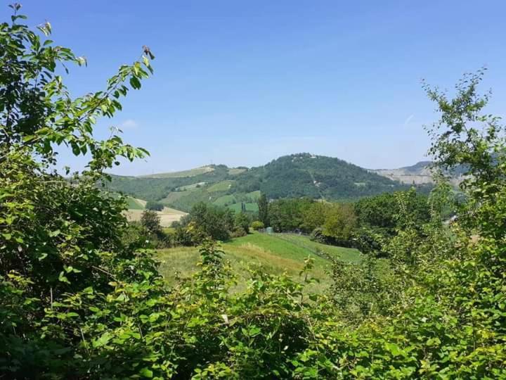 Ai Boschi Διαμέρισμα Ozzano dell'Emilia Εξωτερικό φωτογραφία